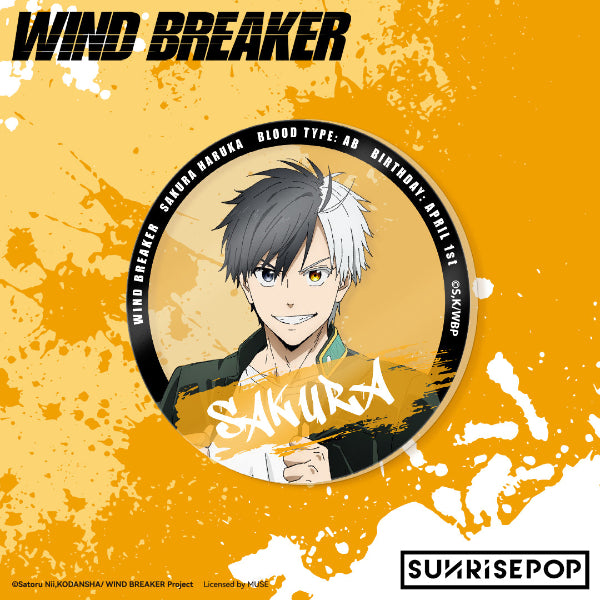 Wind Breaker Haruka Sakura action figure