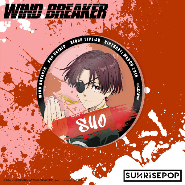 Wind Breaker Haruka Sakura action figure