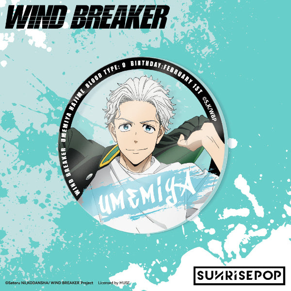 Wind Breaker Haruka Sakura action figure