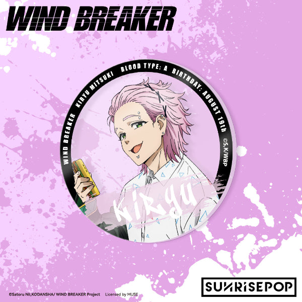 Wind Breaker Haruka Sakura action figure