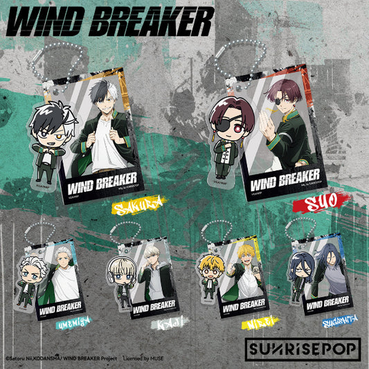 Wind Breaker Haruka Sakura action figure