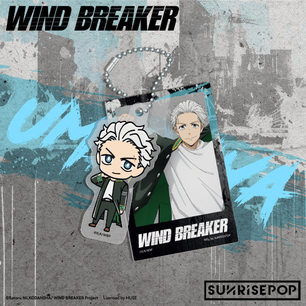 Wind Breaker Haruka Sakura action figure