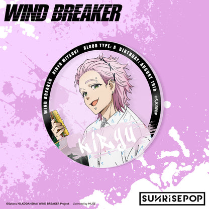 Wind Breaker Haruka Sakura action figure