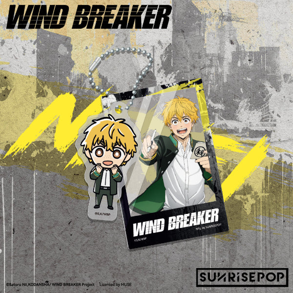 Wind Breaker Haruka Sakura action figure