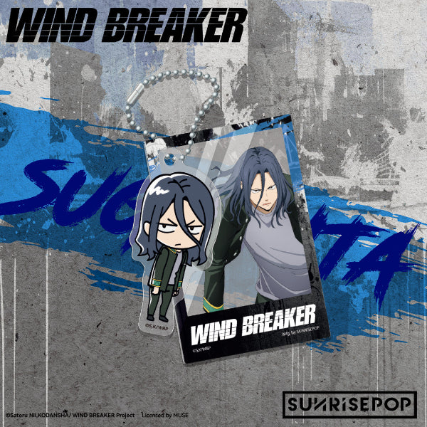 Wind Breaker Haruka Sakura action figure