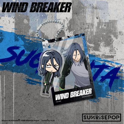 Wind Breaker Haruka Sakura action figure