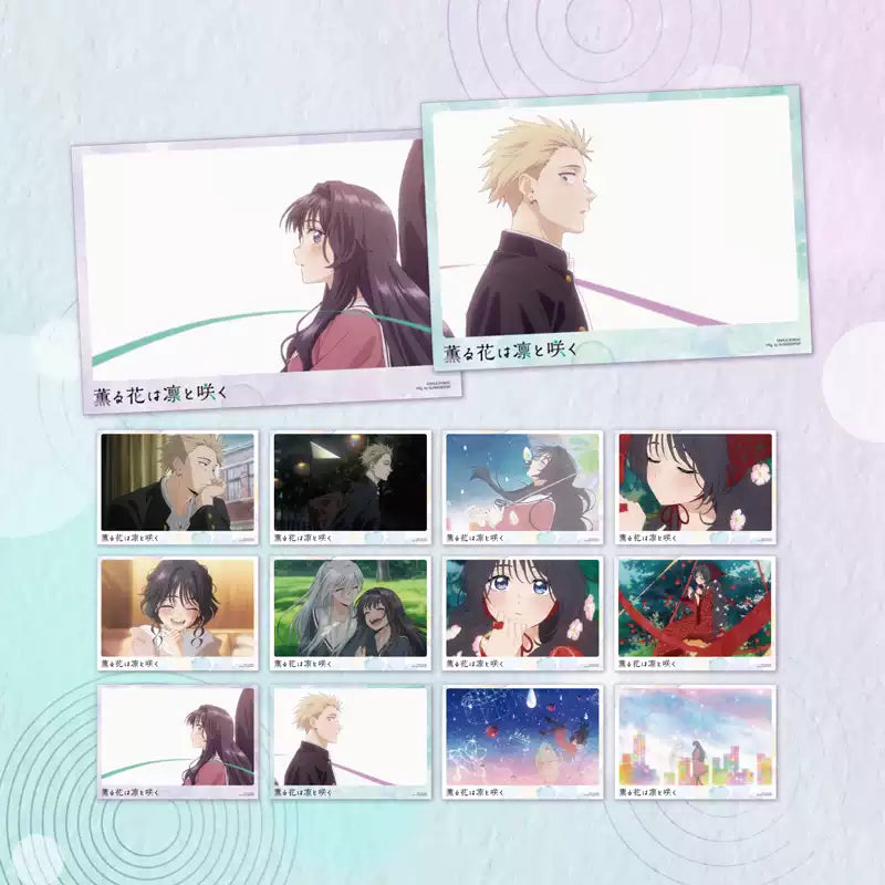The Fragrant Flower Blooms With Dignity Rintaro & Kaoru Postcard Set