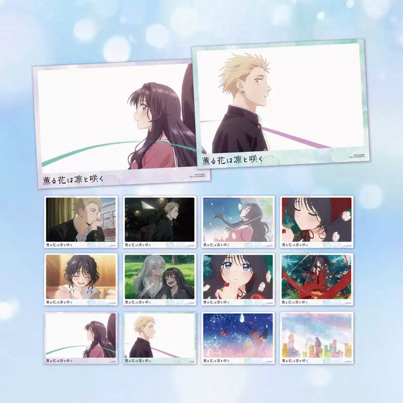 The Fragrant Flower Blooms With Dignity Rintaro & Kaoru Postcard Set